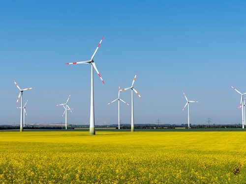 Windpark; immer mehr Unternehmen setzen sich für Umweltschutz ein