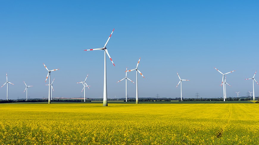 Windpark; immer mehr Unternehmen setzen sich für Umweltschutz ein