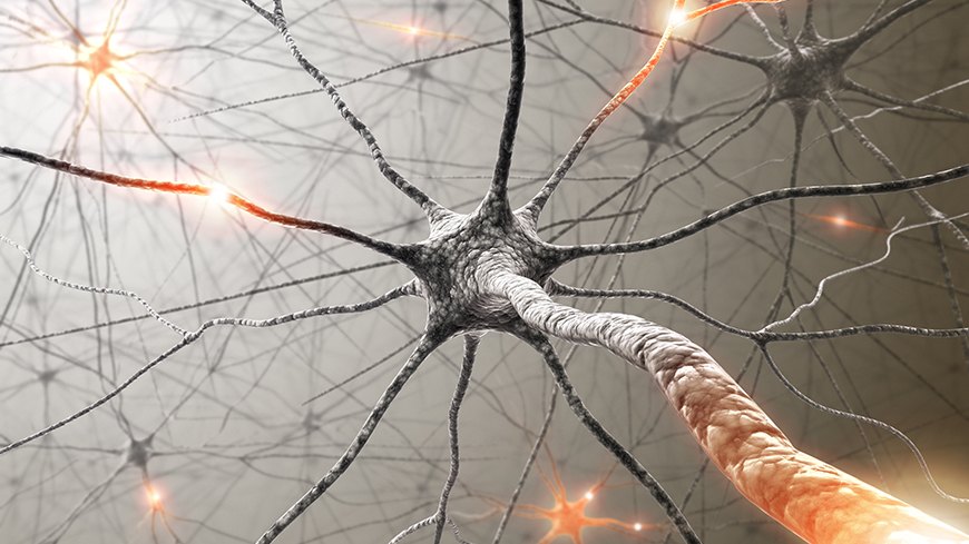 Künstliche neuronale Netze können die Mimik von Bewerbern lesen und Anschreiben analysieren.