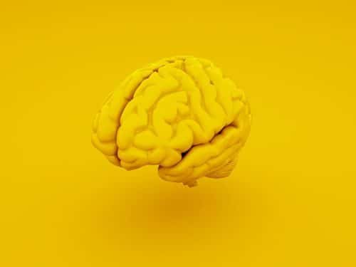 Wer im Personalmanagement mit Erkenntnissen aus der Hirnforschung argumentiert, hat vermeintlich die Wissenschaft auf seiner Seite.