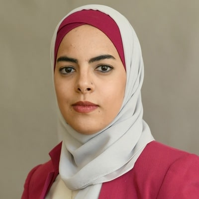 Nermin Ismail, Journalistin