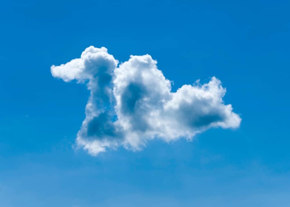 Wolkenskulptur in Form eines Hundes vor blauem Himmel.
