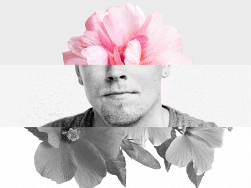 Mischung aus einem menschlichen Gesicht und einer rosa Blüte, die den oberen Teil des Gesichts überlagert.