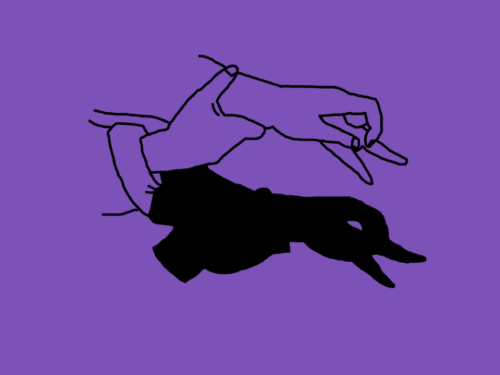 Zwei Hände formen Schattenfiguren auf einem lila Hintergrund. Eine Hand zeigt einen Vogel, die andere eine unklare Form.