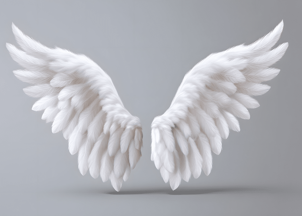 Weiße, gefiederte Engelsflügel vor einem grauen Hintergrund.