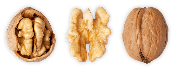 ks_hero_mobile Drei Walnüsse: eine ganze, eine halbe und eine aufgebrochene, mit sichtbarem, hellem Kern.