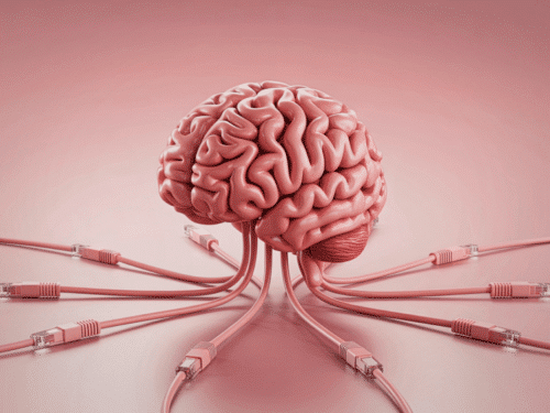 Grafik eines menschlichen Gehirns, umgeben von mehreren Ethernet-Kabeln auf einem rosa Hintergrund.