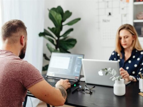 Zwei Personen arbeiten an Laptops an einem Schreibtisch, umgeben von Pflanzen und Büromaterial.