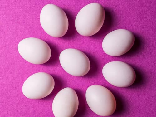 Neun weiße Eier in einem kreisförmigen Muster auf einem pinken, pastellfarbenen Hintergrund.